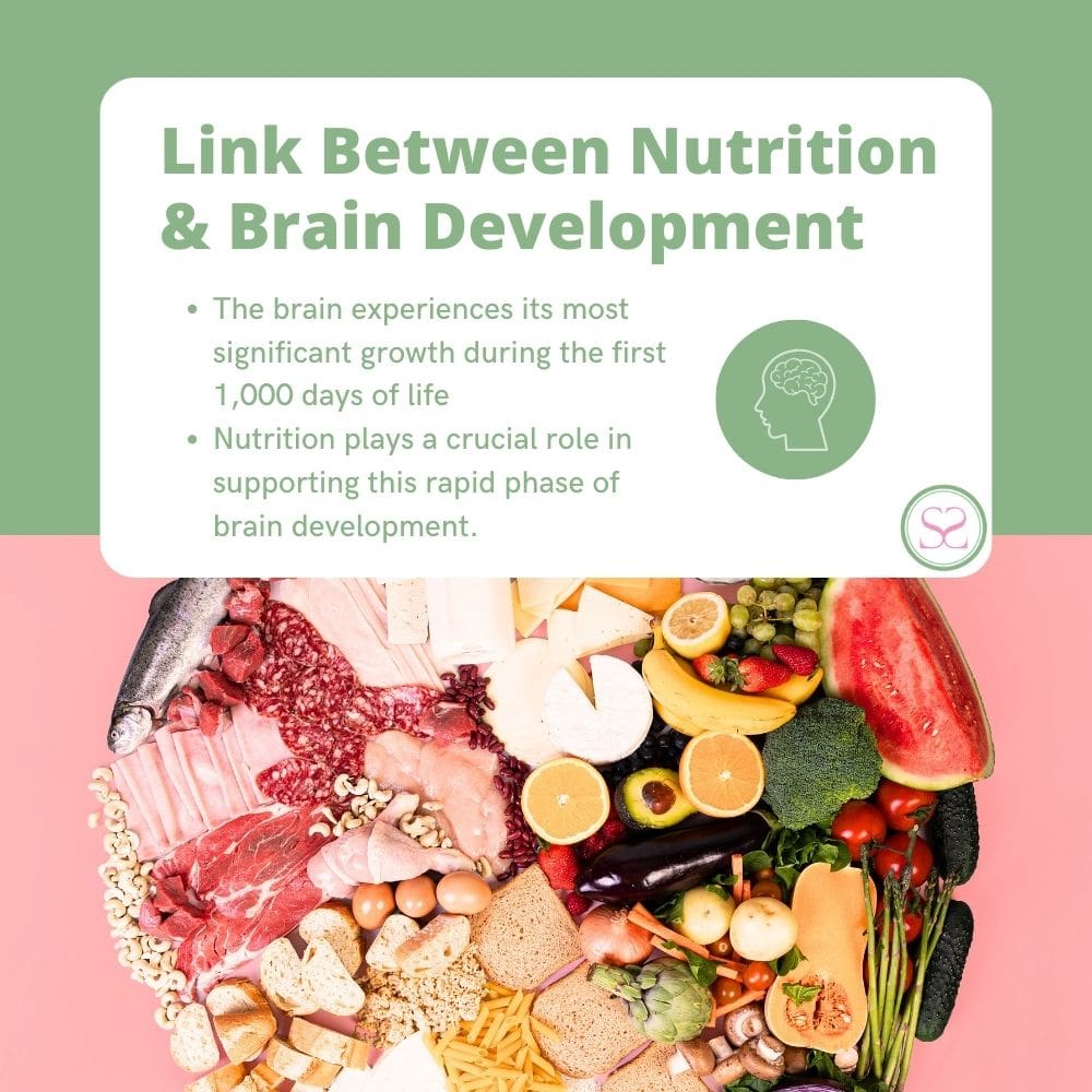 Brain Development and Nutrition